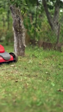 Dışarıda çim biçme makinesi olan bir kadın bacağı. Çim biçme makinesi bir yaz günü çimleri biçiyor. Bahçe işleri. Dikey video