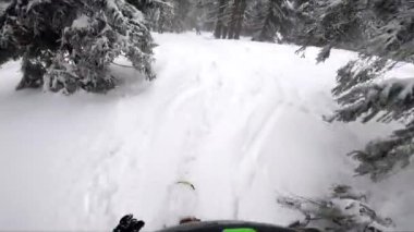 Güzel kış ormanlarında POV snowboard gezisi. Sporcu ağaçların arasında yavaşça sallanıyor..