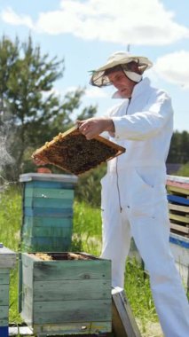 Çayırdaki arıların arılarını inceleyen profesyonel bir arıcı. Beyaz takım elbiseli arı yetiştiricisi yazın doğada ahşap kovanlar arasında çalışır. Dikey video