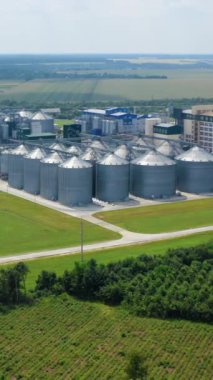 Modern tarım işleme fabrikası. Yeşil alanda tahıl asansörleri. Güneşli yaz günlerinde kırsalda metal tohumu ambarları olan büyük bir bölge. Hava görüntüsü. Dikey video