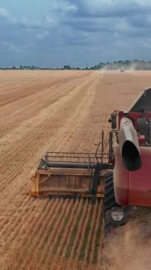 Büyük tarım tarlaları sarı buğday tarlasında hasat topluyor. Ekin toplamak için büyük McCine. Dikey video