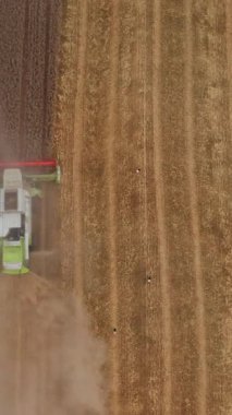 Havadan bakıldığında büyük tarım ürünleri topluyor. Sarı araziler büyük bir birleşimle hasat ediliyor. Dikey video