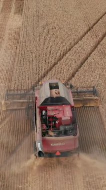 Büyük hasatçının sarı buğday tarlası topladığı hava manzarası. Tarlada çalışan tahılları birleştirin. Dikey video