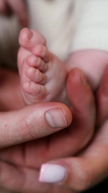 Büyük bir erkek elinde yeni doğmuş bir bebeğin sevimli küçük ayakları. Dişi el, küçük ayak parmaklarını okşar. Baba, anne ve bebek. Kapatın. Dikey video