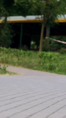 Küçük çocuk dışarıda durmuş asfalt yolda yürüyen güvercini izliyor. Mutlu bebek yaz parkında koşuyor. Dikey video