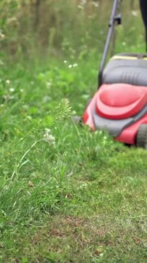 Çim biçme makinesi. Çim biçme makinesiyle çimleri biçme.