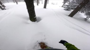 Snowboardcu derin kar altında ağaçların arasında geziyor. Sporcu durur ve küçük köknar ağacına düşer..