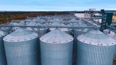Tarım fabrikasının bölgesindeki bir grupla metal ambar tanklarının etrafında uçuyorlar. Tahıl depolama ve işleme için silolar.