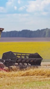 Sahada modern biçerdöveri birleştirin. Yazın güzel kırsal alanda mahsul toplayan kırmızı tarım makinesi. Agronomi konsepti. Dikey video