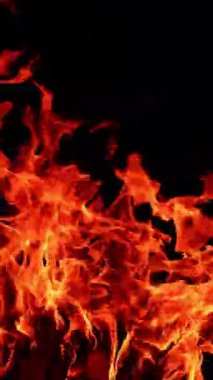 İzole edilmiş siyah arka planda yangın alevi. Ateş, sıcacık parlayan kıvılcımlar. Dikey video