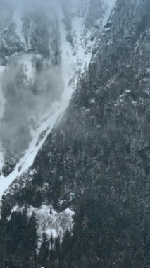 Bulutlu Dağ Amerikan doğası. Rainier Dağı parkının üzerindeki bulutlar. Dikey video