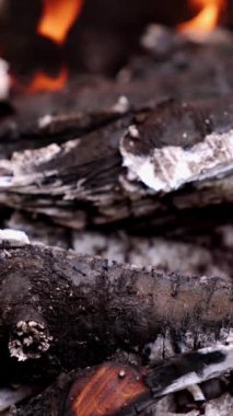 Alevler yakın. Barbekü için bir sürü ağacın hazır olduğu sıcak bir şömine.