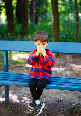 Çocuk bankta, atıştırmalıklar elinde. Kırmızı ve siyah çizgili ceketli genç bir çocuk parktaki mavi bir bankta oturur ve atıştırmalığından bir ısırık alır..