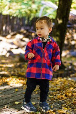 Sonbaharda ağaçlık bir bölgeyi keşfeden bir çocuk. Kırmızı kareli ceket giymiş küçük bir çocuk renkli yapraklarla dolu bir ormanda yürüyor..