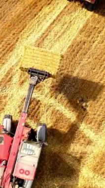 Tarım makineleri yazın tarlada çalışıyor. Saman balyalarını taşıyan ve sarı arka planda bir traktör römorkuna tıkıştırılmış bir makine. Hava görüntüsü. Dikey video