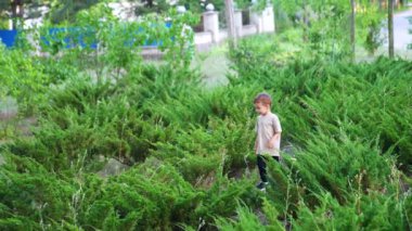 Tatlı erkek bebek yeşil çalıların ve taşların arasında yürüyor. Mutlu çocuk parkta çimlerin yanında koşuyor..