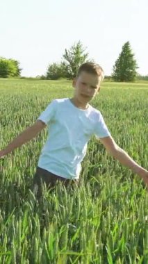 Çocuk buğday tarlası boyunca yürüyor... dikey video.