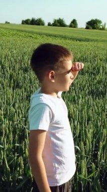 Çocuk gün batımında yeşil alanda koşuyor. Dikey video