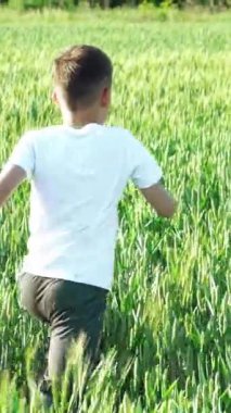 Küçük çocuk buğday tarlasında koşuyor. Dikey video