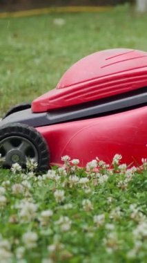 Çimleri biçmeye yakın çekim. Banliyölerde çim biçen kadın dikey video.