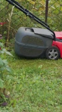 Elektrikli çim biçme makinesi çimleri keser. Çim biçen kadın. Dikey video