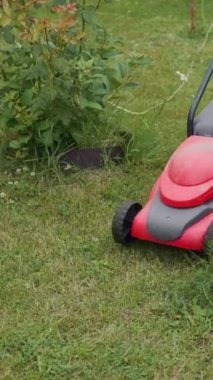Genç kadın arka bahçesinde çim biçme makinesiyle çim biçiyor. Elektrikli çim biçme makinesi çimleri kesiyor.