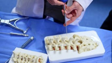 Beyaz cüppeli kimliği belirsiz erkek eğitmen omurga kemiği modelini gösteren bir alet alıyor. Nöroşirürji eğitimi..