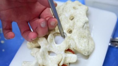 Metal bir aleti tutan el, küçük bir parçayı silen omurga mankenine uyguluyor. Nöroşirürji eğitimi alıyorum. Kapat..
