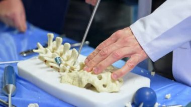 Küçük plastik omurga parçaları tıbbi aletle kesiliyor. Eğitimci, öğrenciler için araç gereç uygulaması sunar. Nöroşirürji eğitimi.