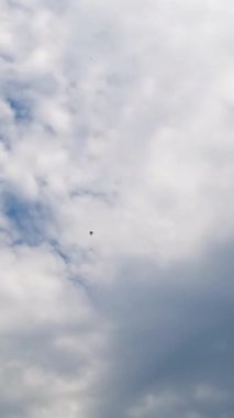 Gökyüzünü hızla kaplayan beyaz bulutlar. Mavi ufuk açılıyor. Düşük açı. Zaman ayarlı. Dikey video
