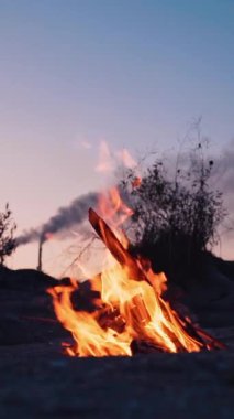 Yaz akşamında yanan kamp ateşi. Doğal sakin atmosferde yanan turuncu alevler. Ateşin etrafında kimse yok. Kamp ateşi konsepti. Dikey video