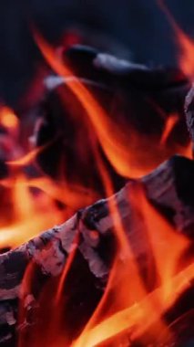 Yakın plan için yanan kütükler. Kamp ateşinde parlayan koyu odun. Ağır çekimde kütükleri yakmak. Dikey video