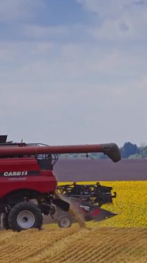 Buğday tarlasında hasat. Modern biçerdöver olgun buğday toplar