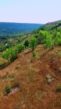 Ayağının dibinde yüzen muhteşem dağ manzarası ve nehrin göz alıcı manzarası. İHA görüntüleri tepenin üzerinde. Dikey video