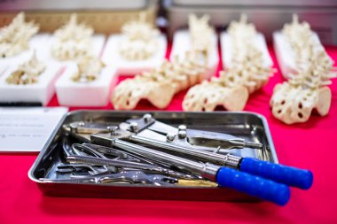 Omurga modellerinin yanında cerrahi aletler. Bir tepsi cerrahi enstrüman, tıbbi atölyede veya fuarda gerçekçi omurga modellerinin önünde oturur..