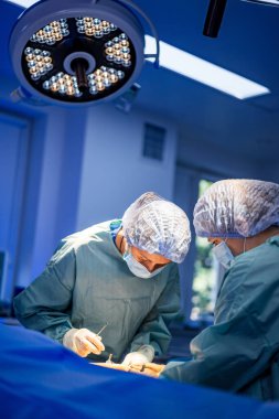 Cerrahlar hastanede ameliyat yaparlar. İki cerrah, temiz ve modern bir ameliyathanede parlak ışıklar altında bir ameliyata odaklanmış durumda..