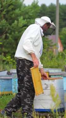 Arı yetiştiricisi kurdeşene yeni çerçeveler takıyor. Parlak bir yaz gününde, kırsal kesimde, tahta arı kovanlarının yanında çalışan erkek arıcı. Dikey video