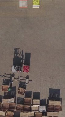 Forklift, elma dolu konteynırlarla dolu. Meyve ve yiyecek dağıtımını büyük depoya yapın. Hava görünümü Dikey video