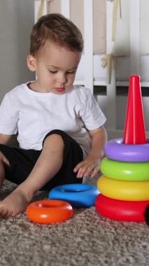 Yerde oturan oyuncak piramidi inşa eden bebek. Kara kedi kuyruğunu sallamanın yanında sakince yatıyor. Dikey video