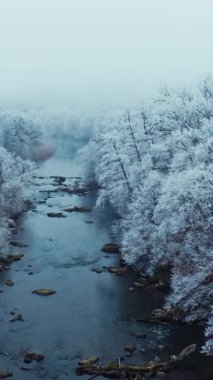 Kış ormanı nehri. Kışın vahşi nehir manzarasının hava manzarası Dikey video
