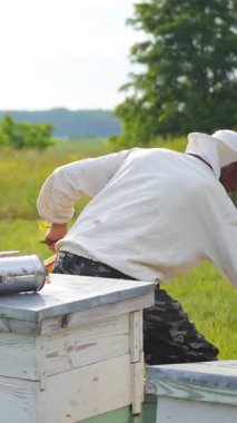 Arıcı bir bal peteği çıkardı ve onu bir fırçayla temizledi. Arı kovanındaki adam koruyucu şapkayla çalışıyor. Apokültür konsepti. Dikey video