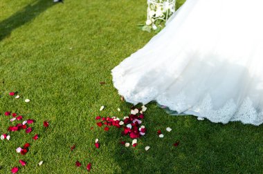 Gül yapraklı çimenlerin üzerine önlük. Bir gelin yeşil çimlerin üzerinde duruyor, gül yapraklarıyla çevrili, güzel bir kutlama anını yakalıyor.