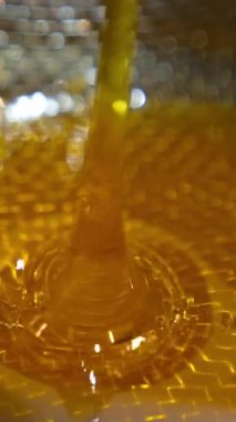 Tatlı bal, yakın görüntüyü dolduruyor. Taze doğal bal akıyor. Dikey video