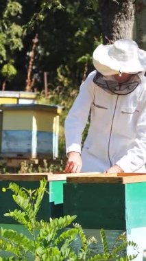 Arı yetiştiricisi bal topluyor. Arı kovanındaki bal peteği çerçevesini kontrol eden koruyucu iş giysisi sorumlusu. Dikey video