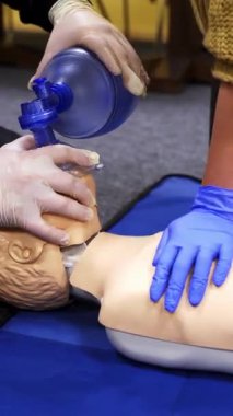Kardiyopulmoner resüsitasyon işlemi. İlk yardım dersinde manken üzerinde kardiyopulmoner resüsitasyon uygulayan insanlar. Dikey video