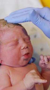 Doğum uzmanının eldivenli elleri yeni doğmuş bir bebeğin kafasını tutuyor. Doktor incelemek için bebeği yana çeviriyor. Kapatın. Dikey video