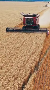 Tahıl hasadı birleşimi. Çiftlikteki ekinleri biçen biçerdöver antenini hasat et