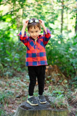 Ağaç kütüğünün tepesindeki çocuk. Renkli flanel bluz giyen genç bir çocuk ağaçlık bir alanda ağaçların üzerinde oynamaktan zevk alıyor..