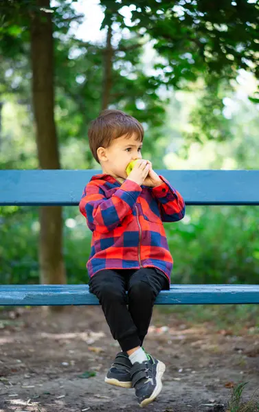 Parktaki bankta meyve yiyen çocuk. Genç bir çocuk yemyeşil bir parkta, mavi bir bankta oturuyor. Doğayla iç içeyken yeşil bir elmanın tadını çıkarıyor..