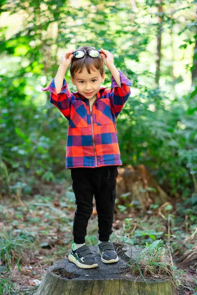 Ağaç kütüğünün tepesindeki çocuk. Renkli flanel bluz giyen genç bir çocuk ağaçlık bir alanda ağaçların üzerinde oynamaktan zevk alıyor..